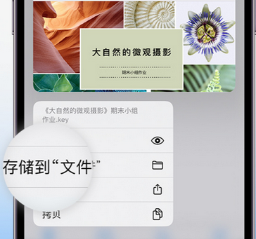 梁溪apple维修中心分享iPhone文件应用中存储和找到下载文件