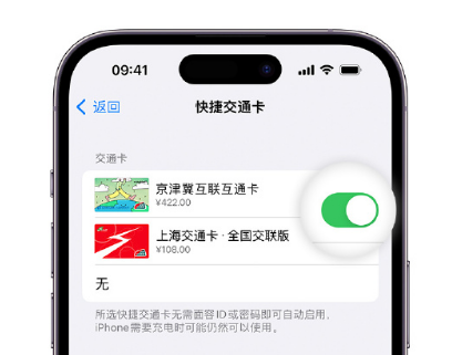 梁溪apple维修点分享iPhone上更换Apple Pay快捷交通卡手绘卡面 