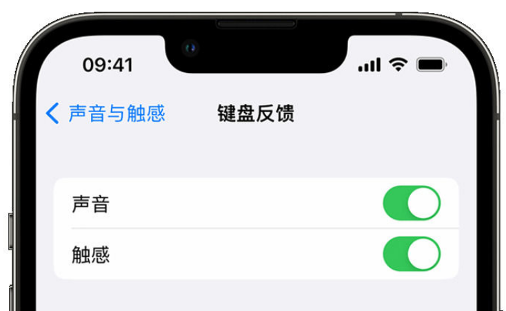 梁溪苹果手机维修分享iPhone 14触感键盘使用方法 