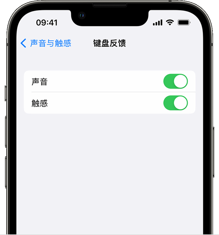 梁溪苹果14维修店分享如何在 iPhone 14 机型中使用触感键盘 