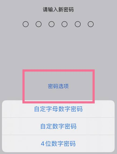 梁溪苹果14维修分享iPhone 14plus设置密码的方法 