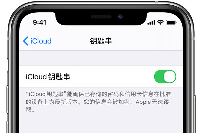 梁溪苹果手机维修分享在 iPhone 上开启 iCloud 钥匙串之后会储存哪些信息 